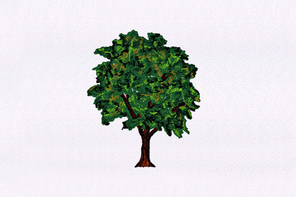 Reviewing Evergreen Tree Design for Holiday Collections